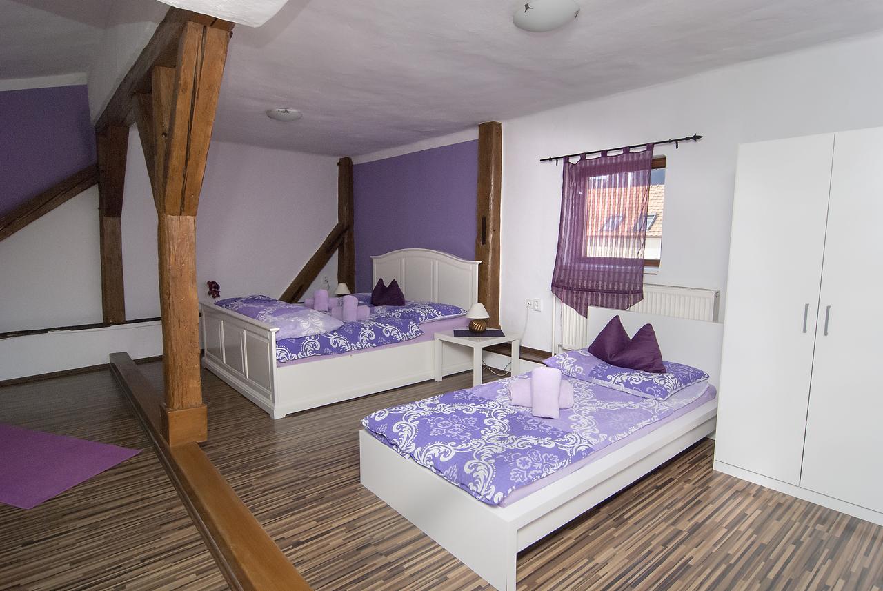 Fontana Pizzeria - Pension Ceske Budejovice Dış mekan fotoğraf