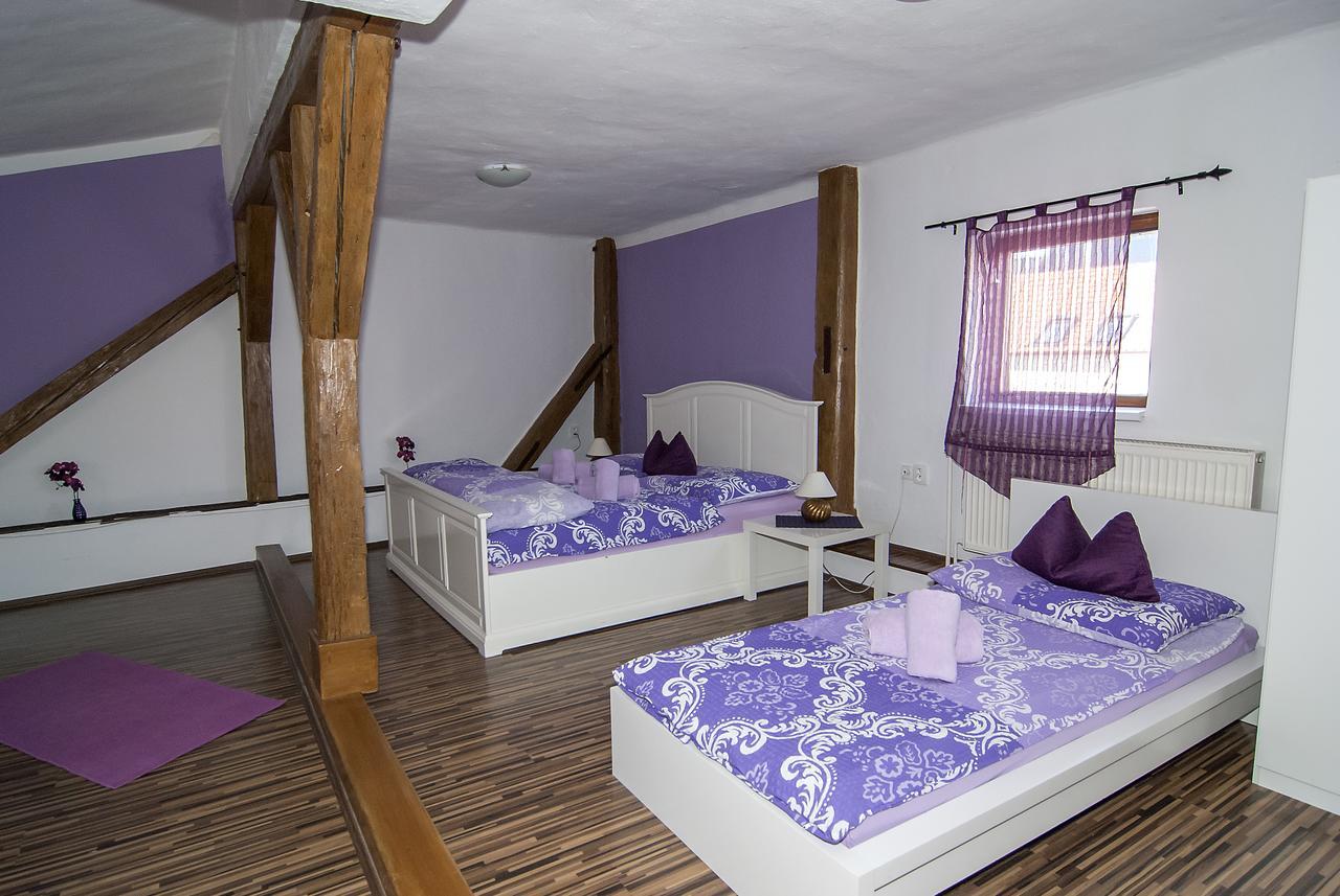 Fontana Pizzeria - Pension Ceske Budejovice Dış mekan fotoğraf