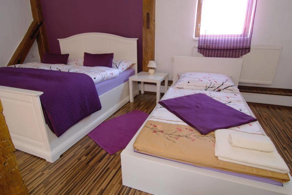 Fontana Pizzeria - Pension Ceske Budejovice Dış mekan fotoğraf